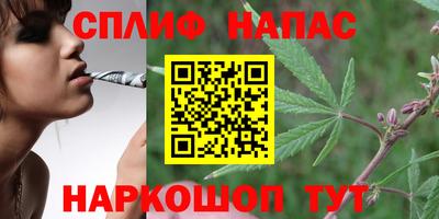 тгк Севастополь