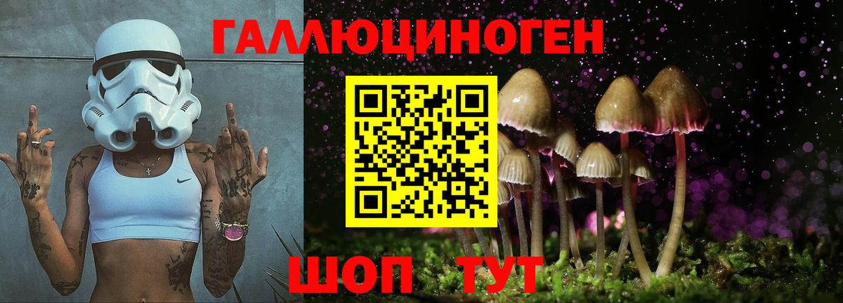 Псилоцибиновые грибы GOLDEN TEACHER Осинники